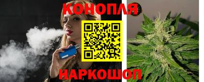 крисы Краснознаменск