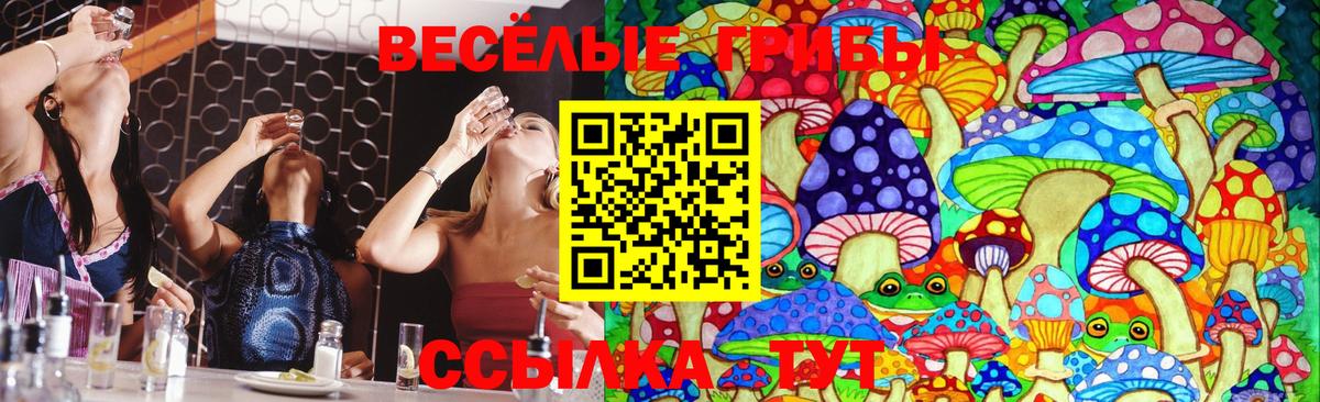 Галлюциногенные грибы прущие грибы Благовещенск